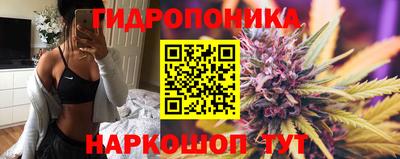 тгк Жуковский